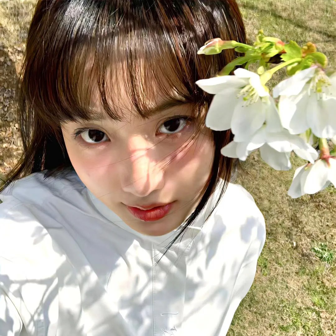 镜中花